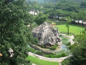 Gorilla sanctuary , grand Seoul park