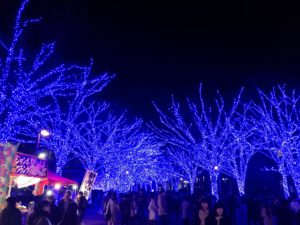 Yoyogo Park illumination 