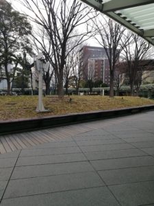 surrounding picnic, Roppongi's dusk