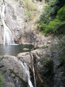 Read more about the article ShinKobe Waterfalls