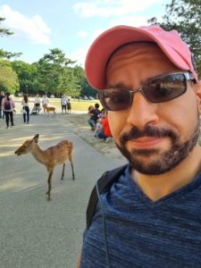 Read more about the article Deer feeding at Nara
